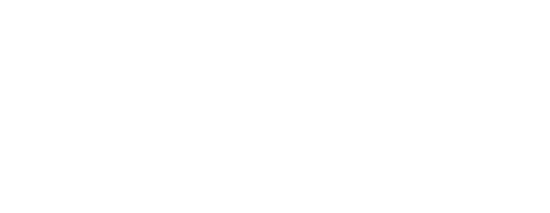 Naz logo